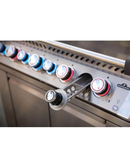 BARBACOA NAPOLEON PRO 665 EN ACERO INOXIDABLE