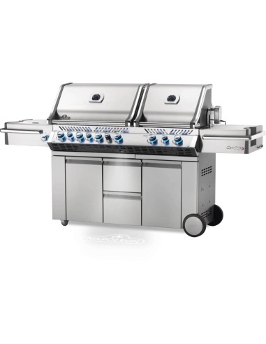 BARBACOA NAPOLEON PRESTIGE 825 EN...