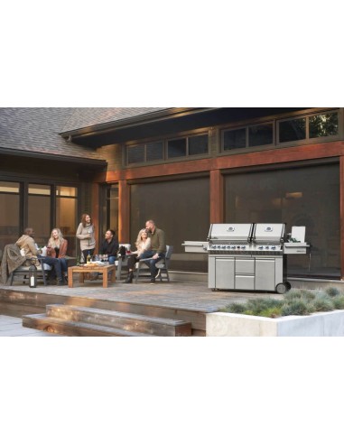 BARBACOA NAPOLEON PRESTIGE 825 EN...