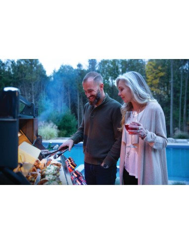 BARBACOA NAPOLEON PRESTIGE 825 EN...