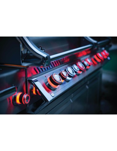 BARBACOA NAPOLEON PRESTIGE 825 EN...