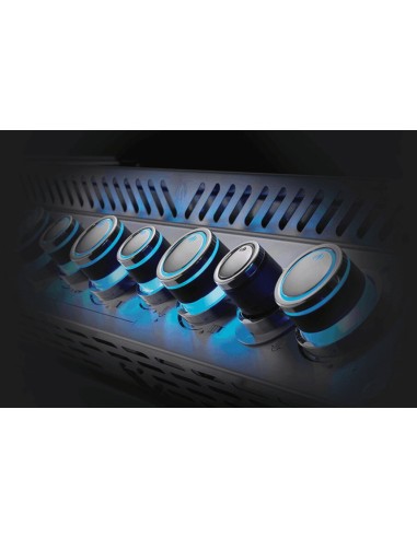 BARBACOA PRESTIGE PRO 500 EN ACERO...