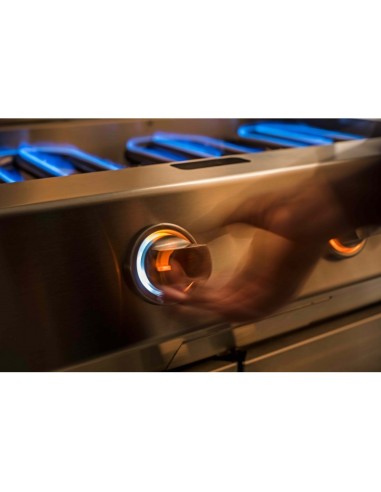BARBACOA CON CARRO GAS FUSION 400 CRMS BARBACOA CON CARRO GAS FUSION 400 CRMS