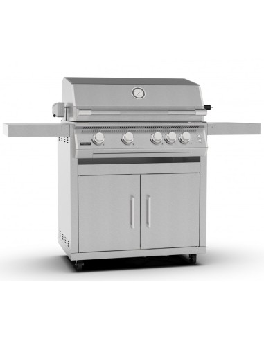 BARBACOA A GAS CON CARRO FUSION 400 GRS BARBACOA A GAS CON CARRO FUSION 400 GRS