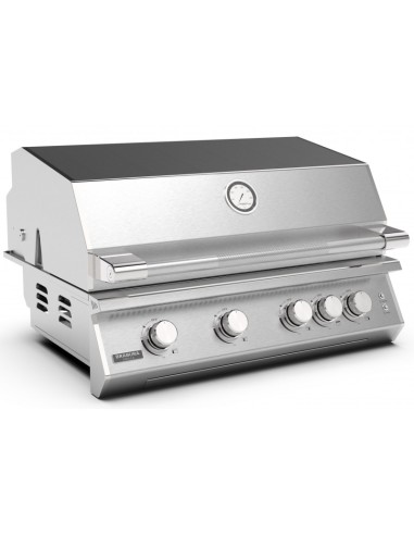 BARBACOA A GAS CON CARRO FUSION 400 GRS BARBACOA A GAS CON CARRO FUSION 400 GRS