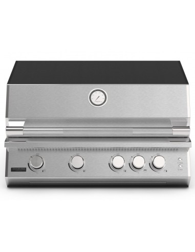 BARBACOA A GAS CON CARRO FUSION 400 GRS BARBACOA A GAS CON CARRO FUSION 400 GRS