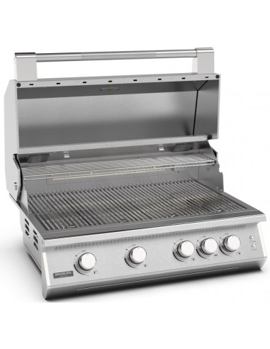 BARBACOA A GAS CON CARRO FUSION 400 GRS BARBACOA A GAS CON CARRO FUSION 400 GRS