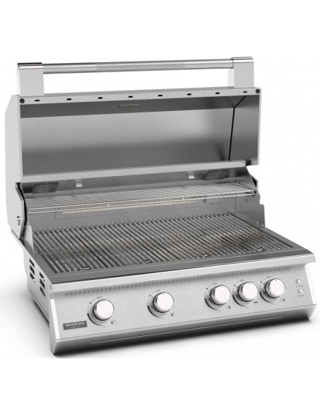 BARBACOA A GAS CON CARRO FUSION 400 GRS