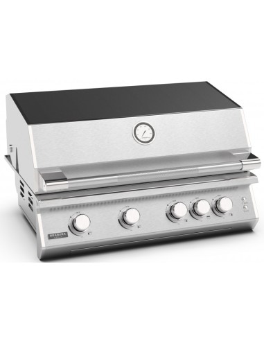 BARBACOA A GAS CON CARRO FUSION 400 GRS BARBACOA A GAS CON CARRO FUSION 400 GRS