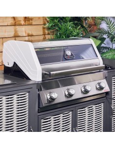 BARBACOA HÍBRIDA... 2