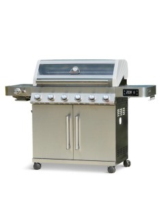 BARBACOA HÍBRIDA DE 6...