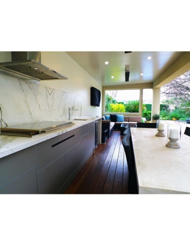 BARBACOA ENCASTRABLE PROLINE 6B TAPA...