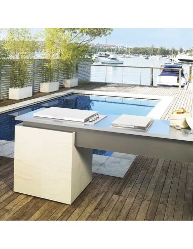 BARBACOA ENCASTRABLE PROLINE 6B TAPA...