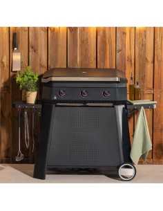 PLANCHA A GAS CON CARRO