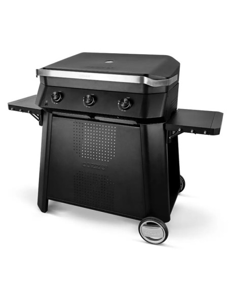 PLANCHA A GAS CON CARRO