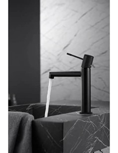 GRIFO LAVABO MONOMANDO... 2